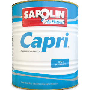 Vinilo tipo 2 Sapolin